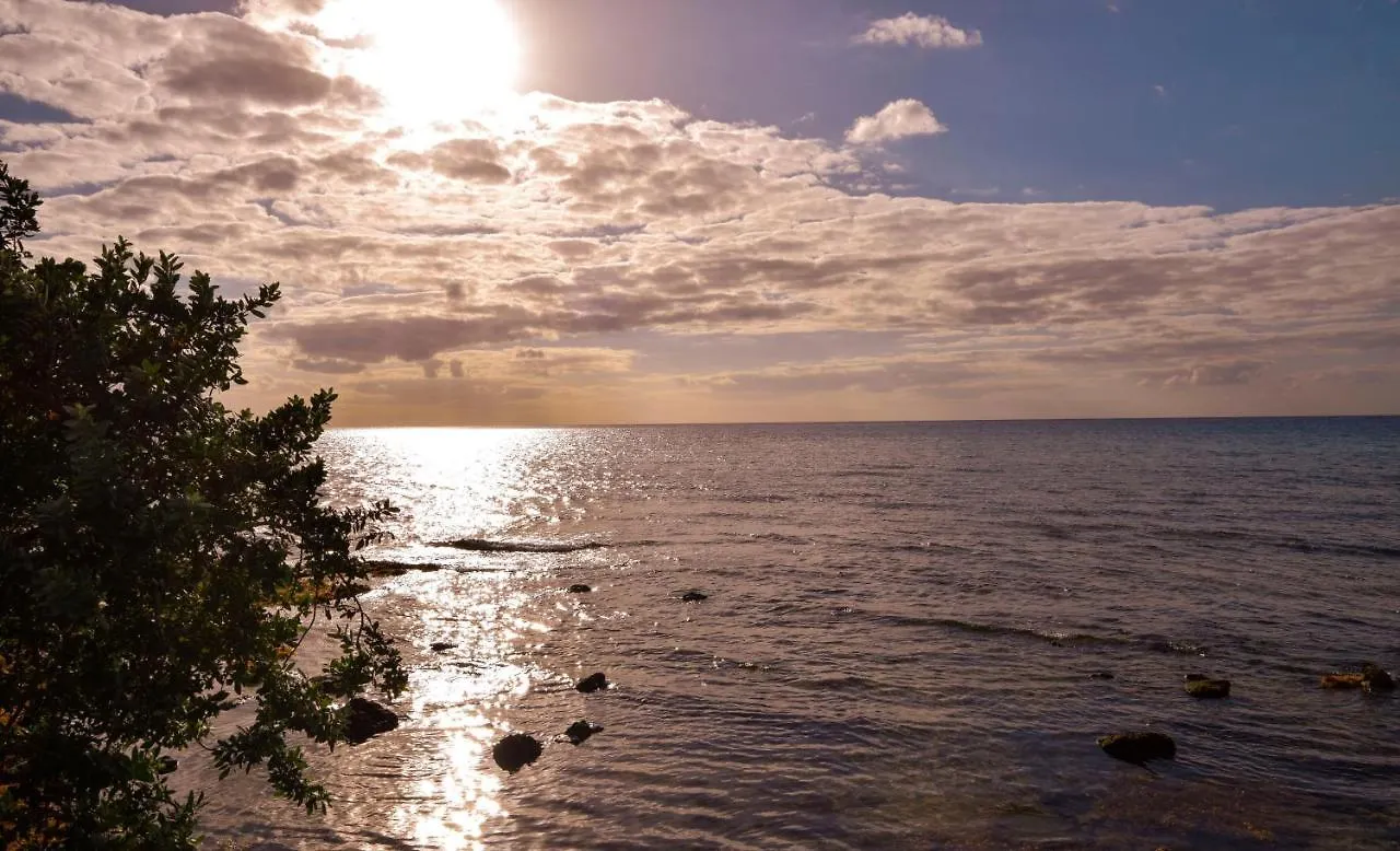 Deck 12 Unit 202 With Stunning Ocean Views Czd202